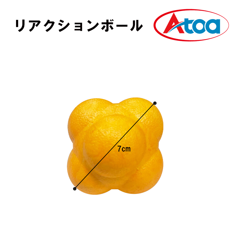 【9ZATR00010】 リアクションボール