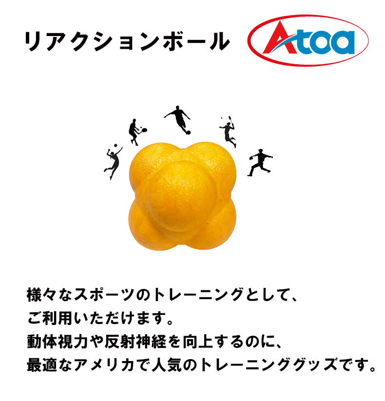 【9ZATR00010】 リアクションボール